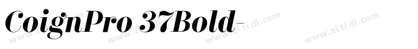 CoignPro 37Bold字体转换